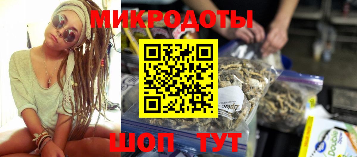 Галлюциногенные грибы Psilocybe Татарск